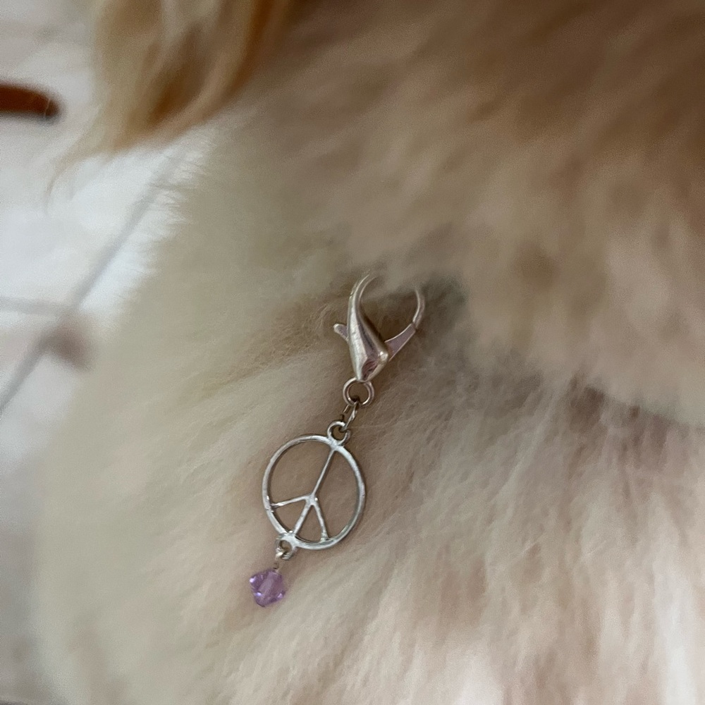 ☮️Silver peace pet charm